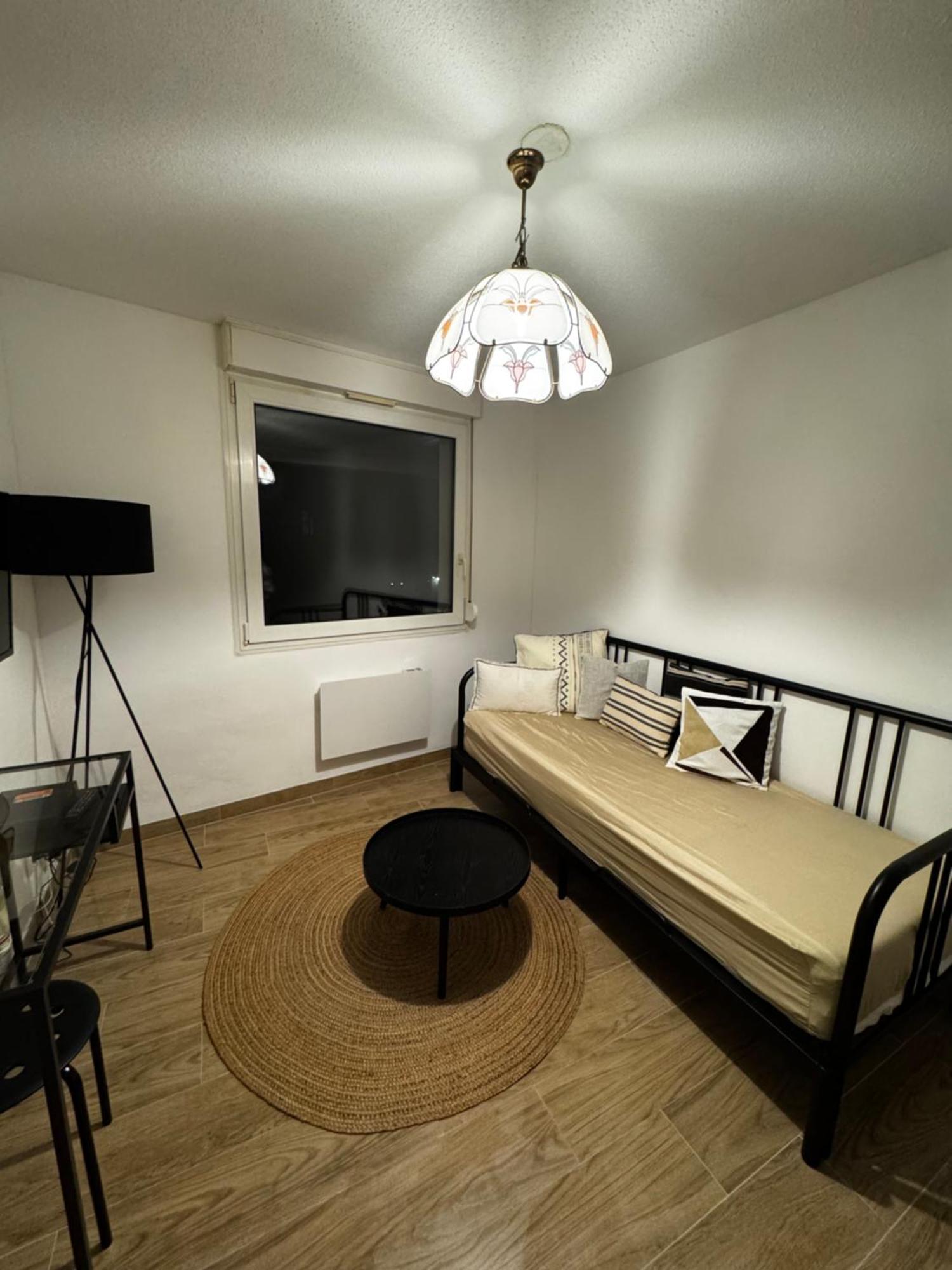 Le Sarsour Appartement Strasbourg Centre Екстериор снимка